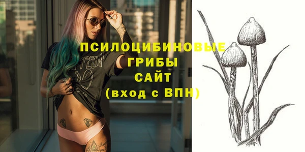 спиды Краснослободск