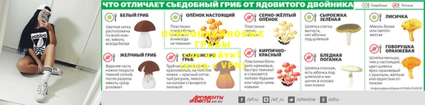 герыч Алексин