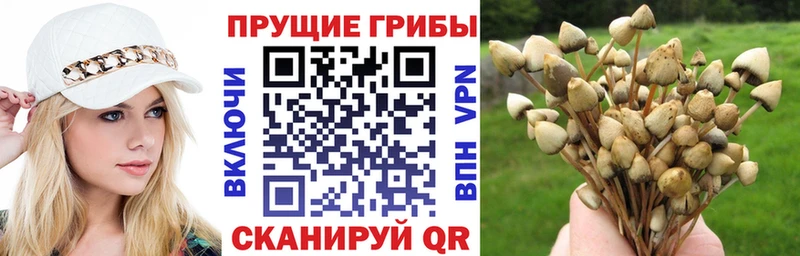 OMG как зайти  закладка  Балаково  Псилоцибиновые грибы прущие грибы 